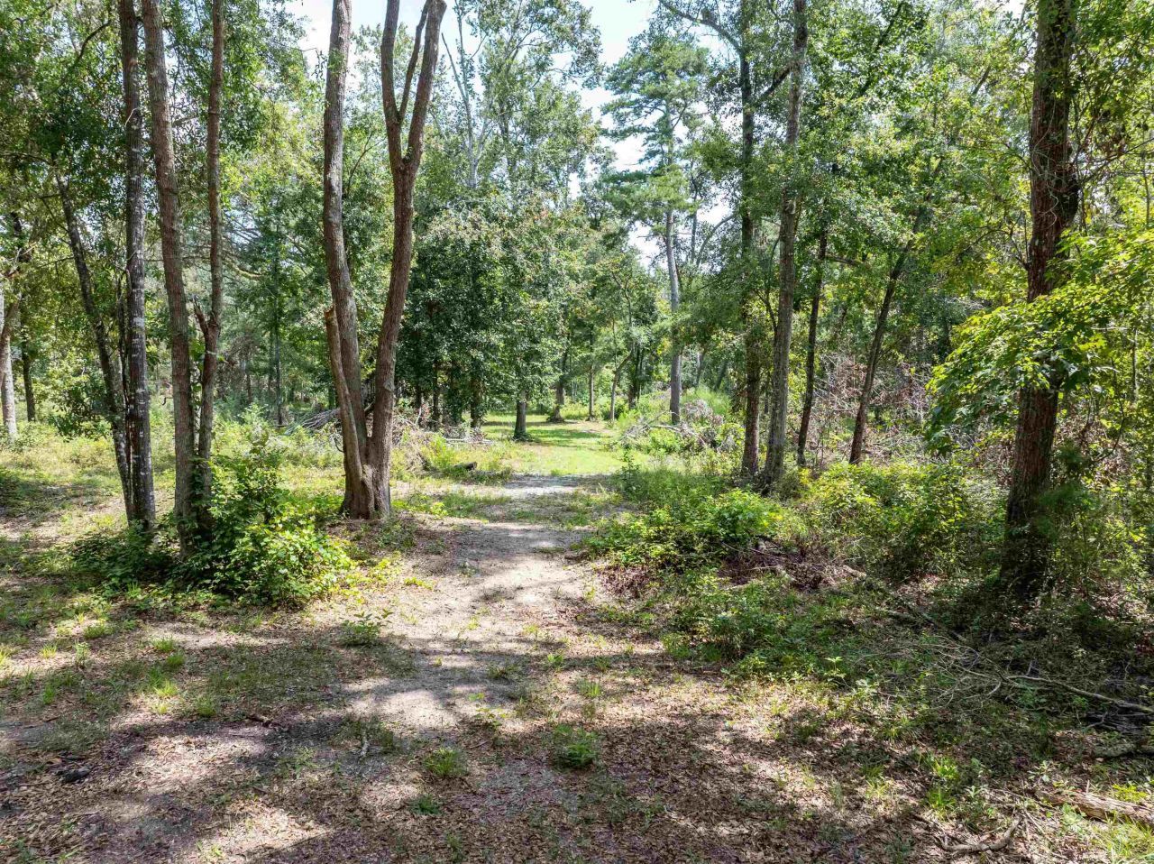 3229 Deerwood Boulevard, Greenville, FL 32331 Photo