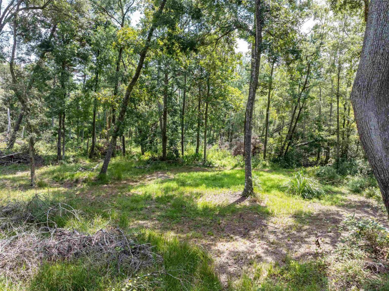 3229 Deerwood Boulevard, Greenville, FL 32331 Photo