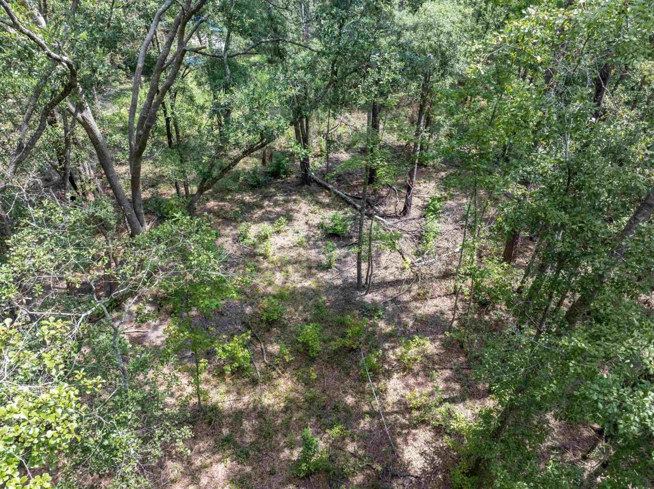 3229 Deerwood Boulevard, Greenville, FL 32331 Photo