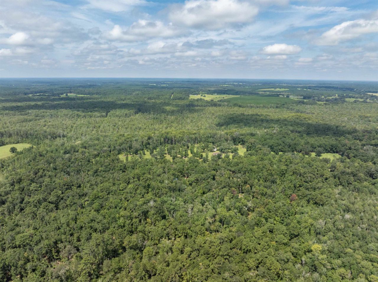 3229 Deerwood Boulevard, Greenville, FL 32331 Photo