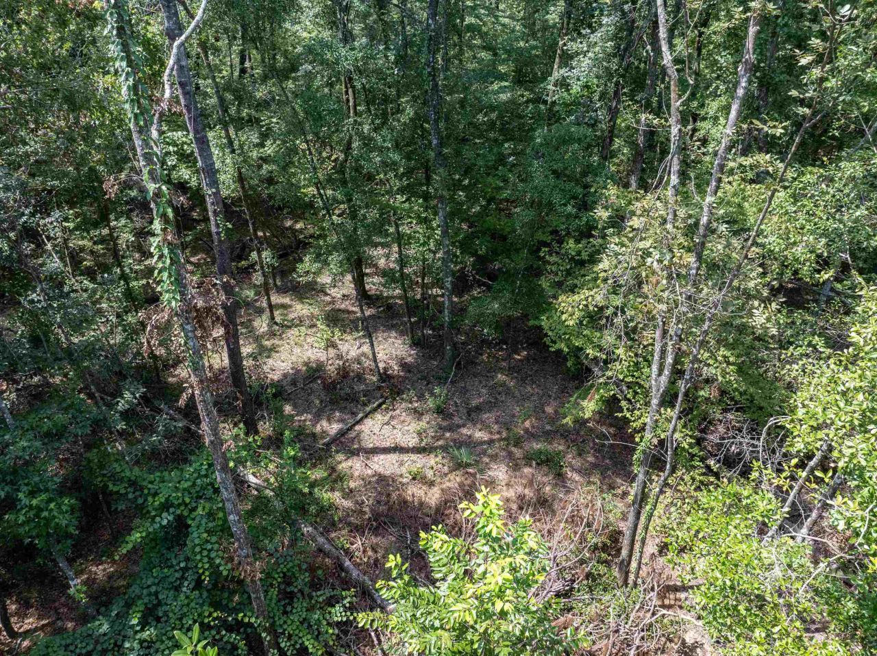 3229 Deerwood Boulevard, Greenville, FL 32331 Photo