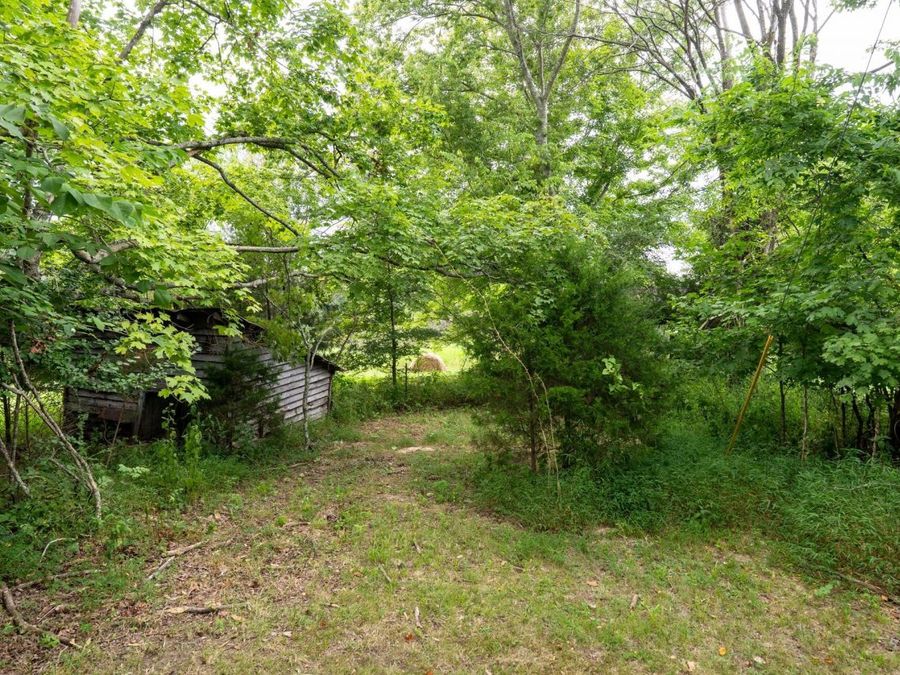 Property Image 18