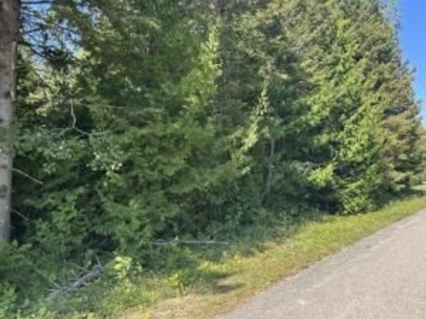 Presque Isle, MI 49777