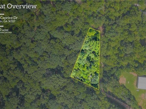 311 Caprice Drive, Martin, GA 30557