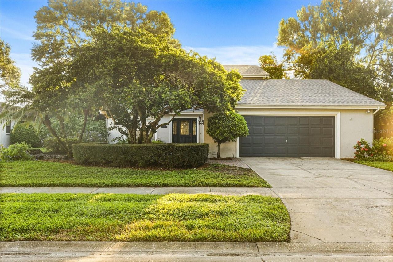 13817 Cypress Village Circle, Tampa, FL 33618 Main Photo