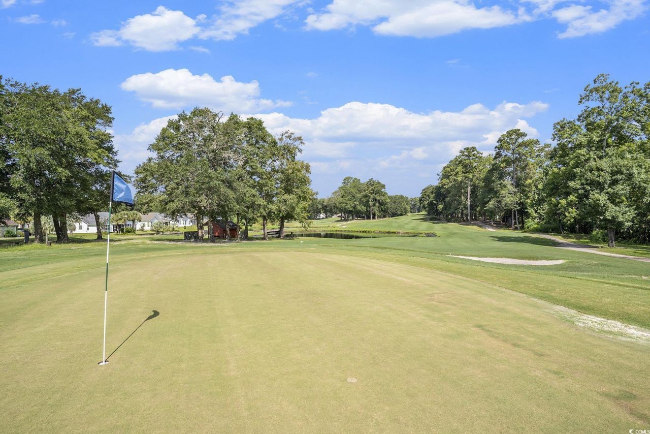 4459 Turtle Ln. Photo 27