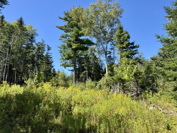 Lot 13 Red Rock Estates, Pembroke, ME 04666