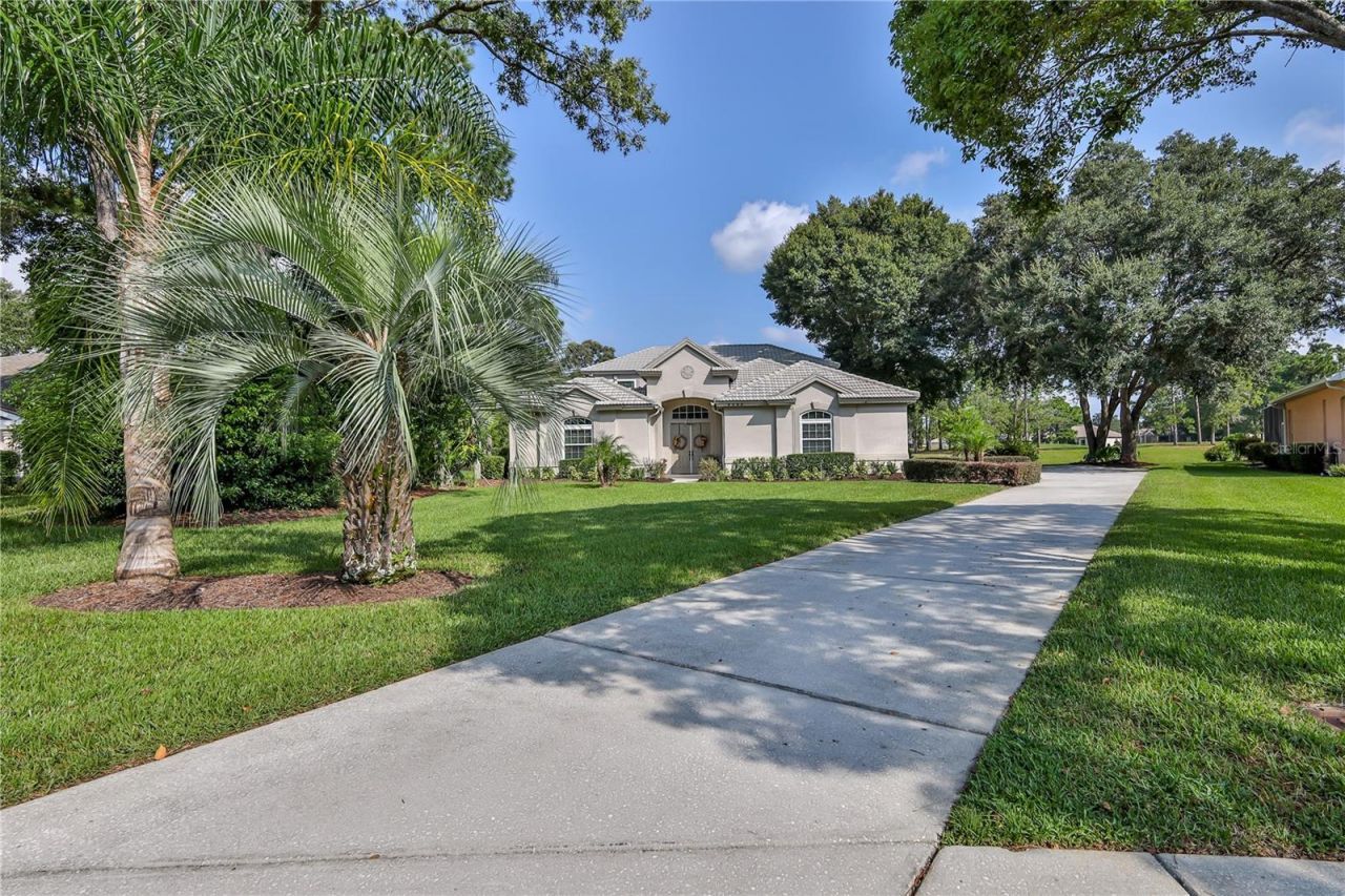 5295 Legend Hills Lane, Brooksville, FL 34609 Photo