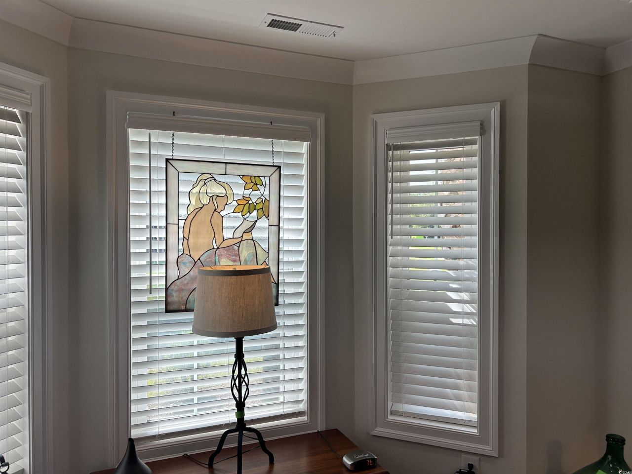 1029 Ray Costin Way Photo 15