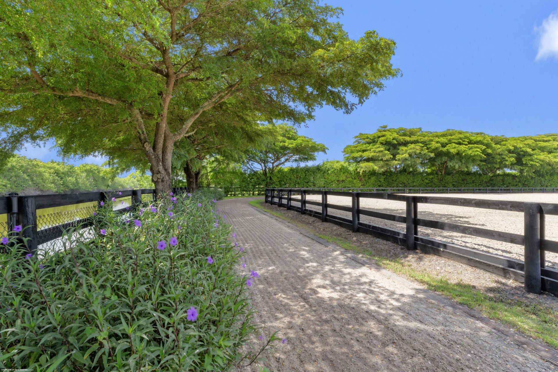 3382 Grand Prix Farms Drive N, Wellington, FL 33414 Photo