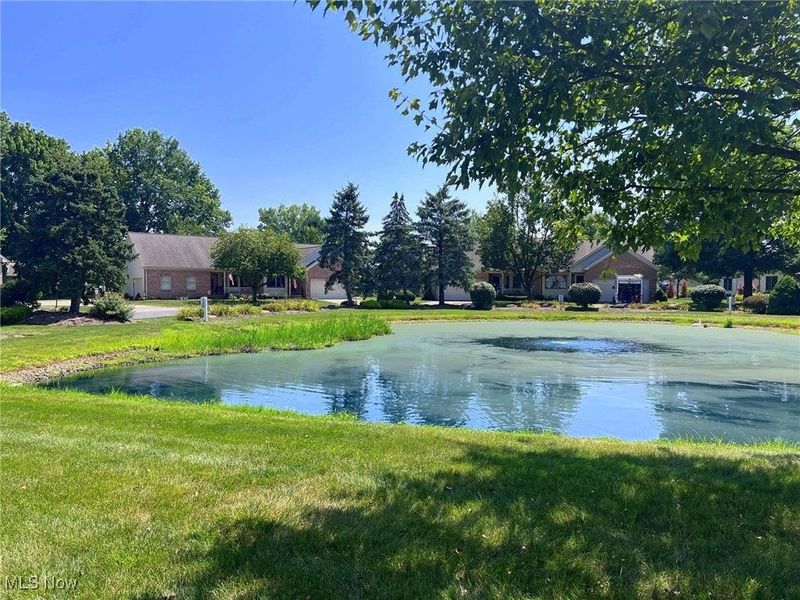 121 Oakley Green Drive, Elyria, OH 44035 Photo 38