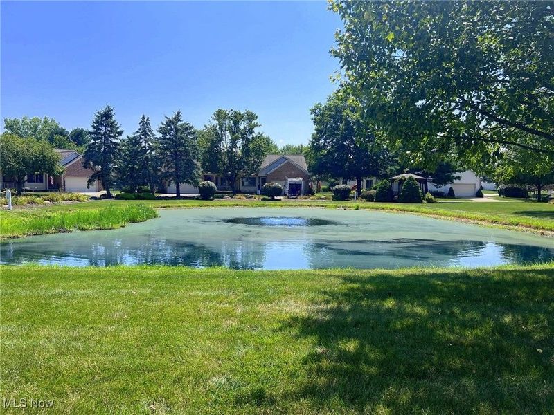 121 Oakley Green Drive, Elyria, OH 44035 Photo 39