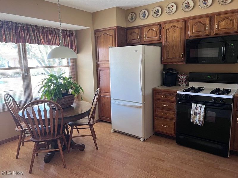 121 Oakley Green Drive, Elyria, OH 44035 Photo 5