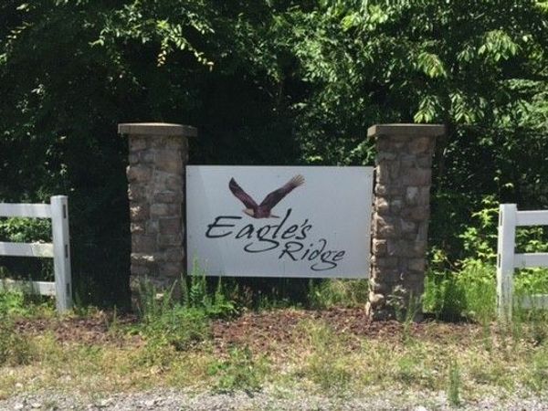 192 Diamond Point Drive , Bumpus Mills, TN 37028