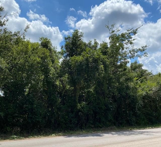 Tbd Fm Rd 920, Poolville, TX 76487 Main Photo