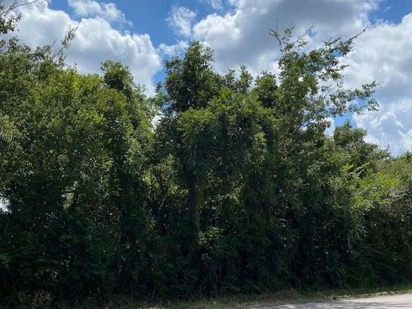 TBD FM RD 920, Poolville, TX 76487