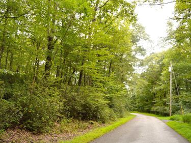 Lot 132 Dogwood Lane, Terra Alta, WV 26764