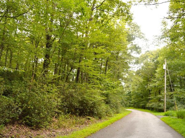 Lot 132 Dogwood Lane, Terra Alta, WV 26764