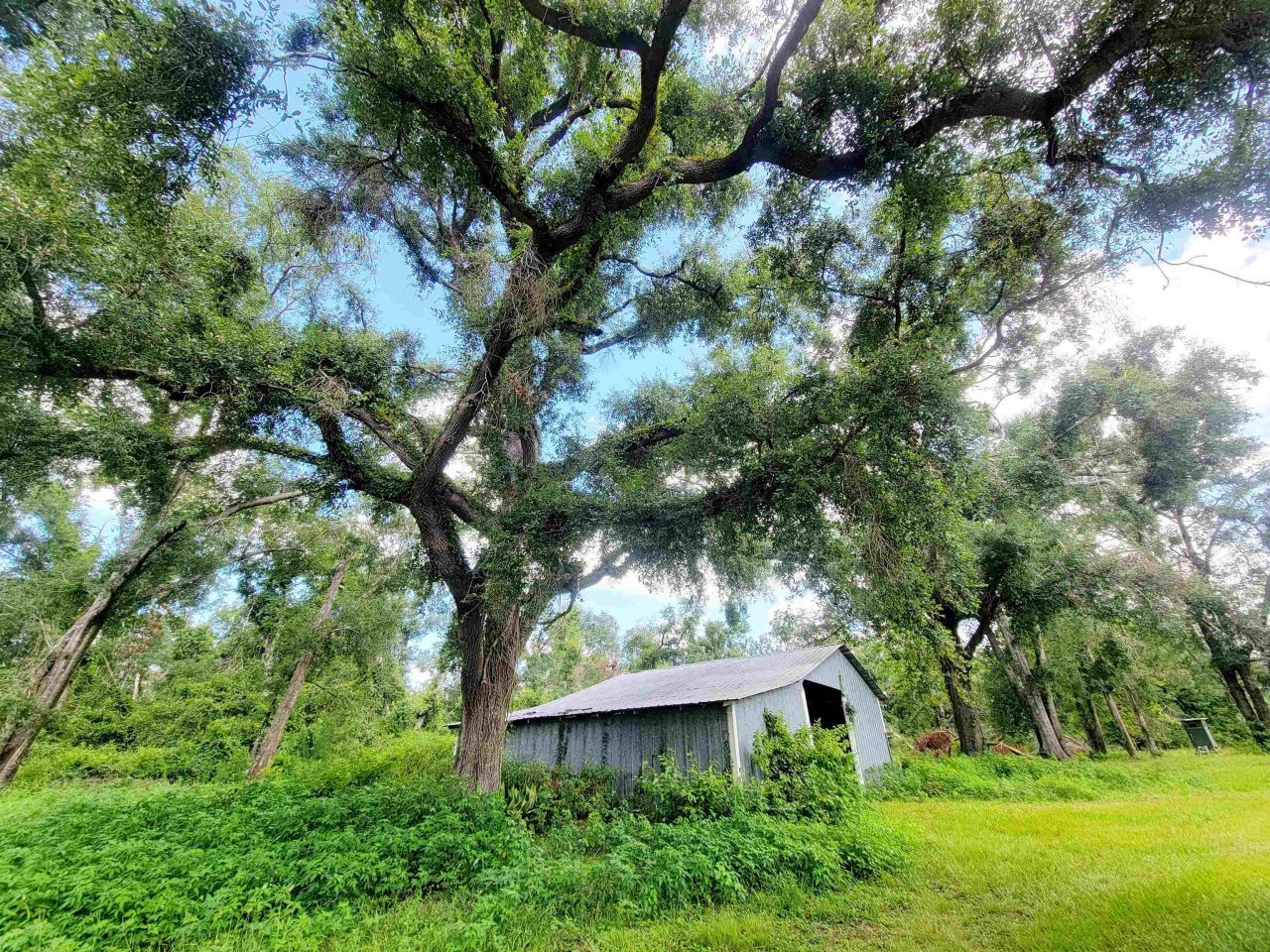 15710 184th Street, Other Florida, FL 32071 Photo