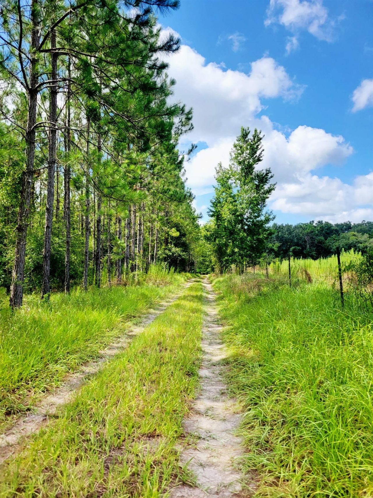 15710 184th Street, Other Florida, FL 32071 Photo