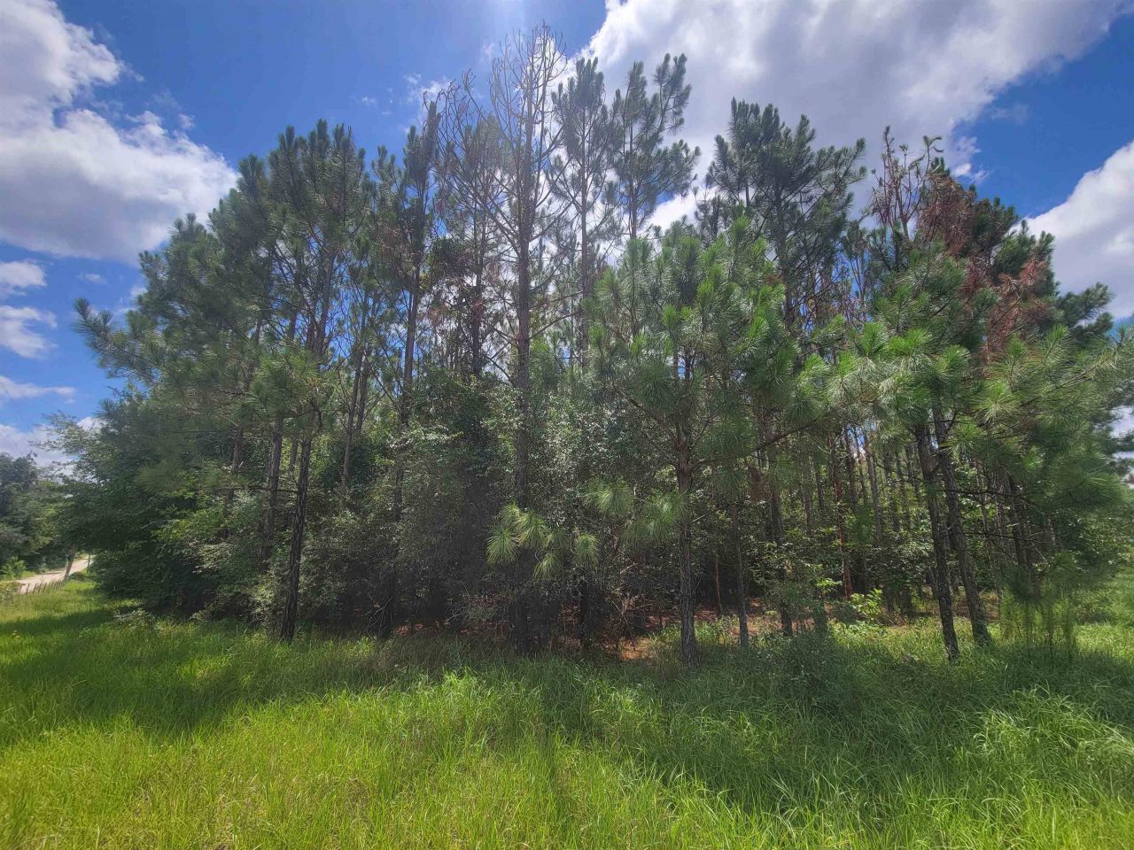 15710 184th Street, Other Florida, FL 32071 Photo