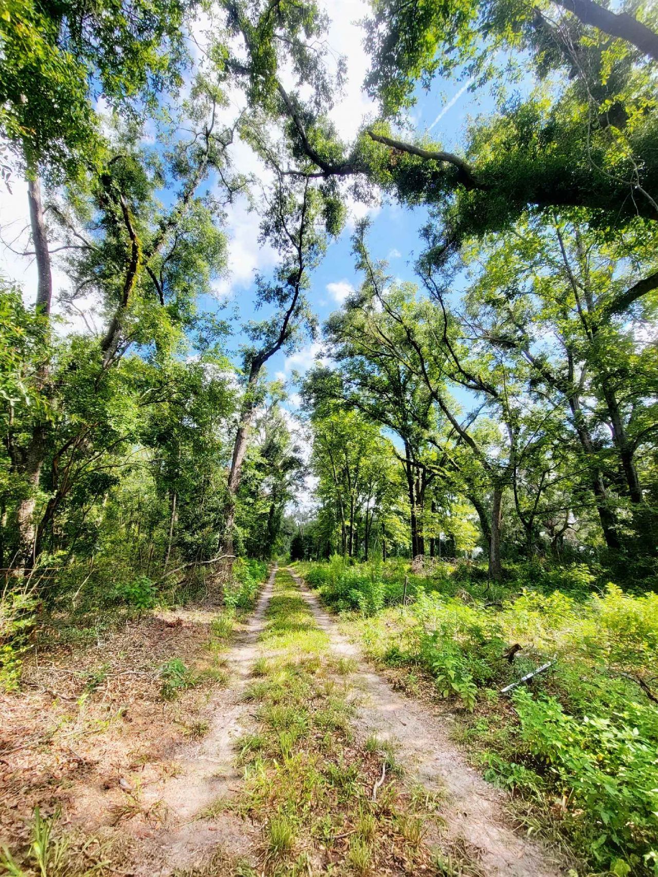 15710 184th Street, Other Florida, FL 32071 Photo