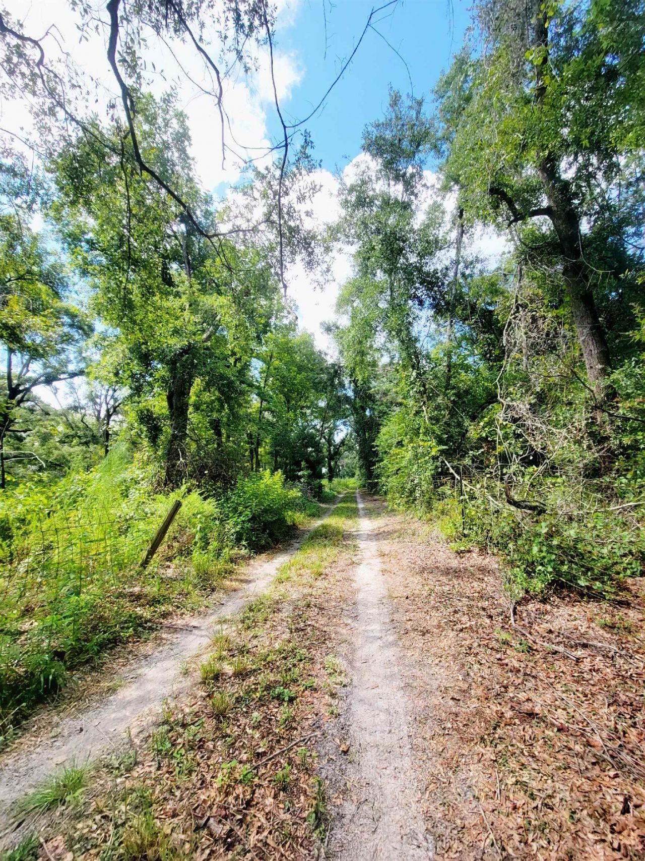 15710 184th Street, Other Florida, FL 32071 Photo