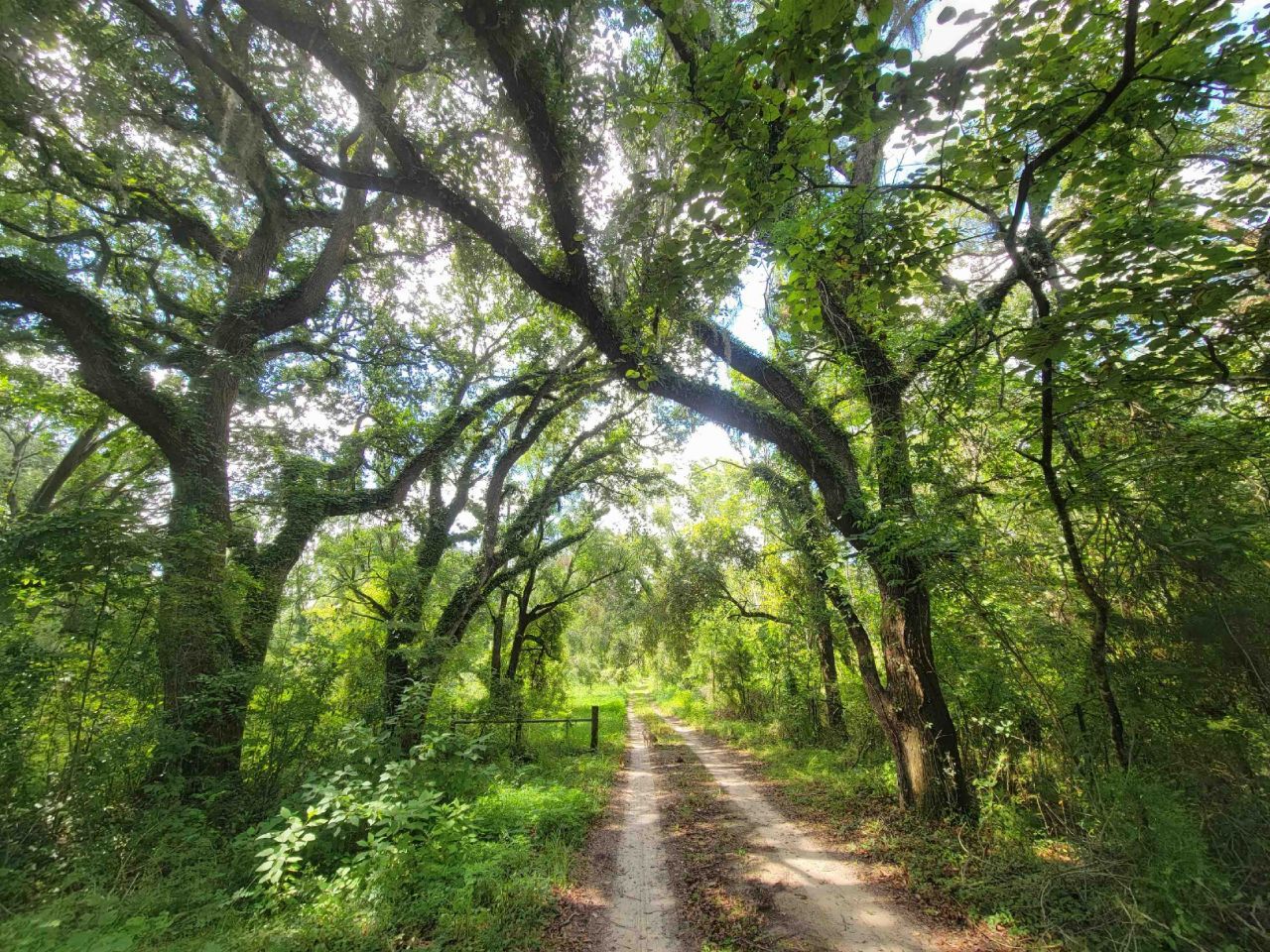 15710 184th Street, Other Florida, FL 32071 Photo