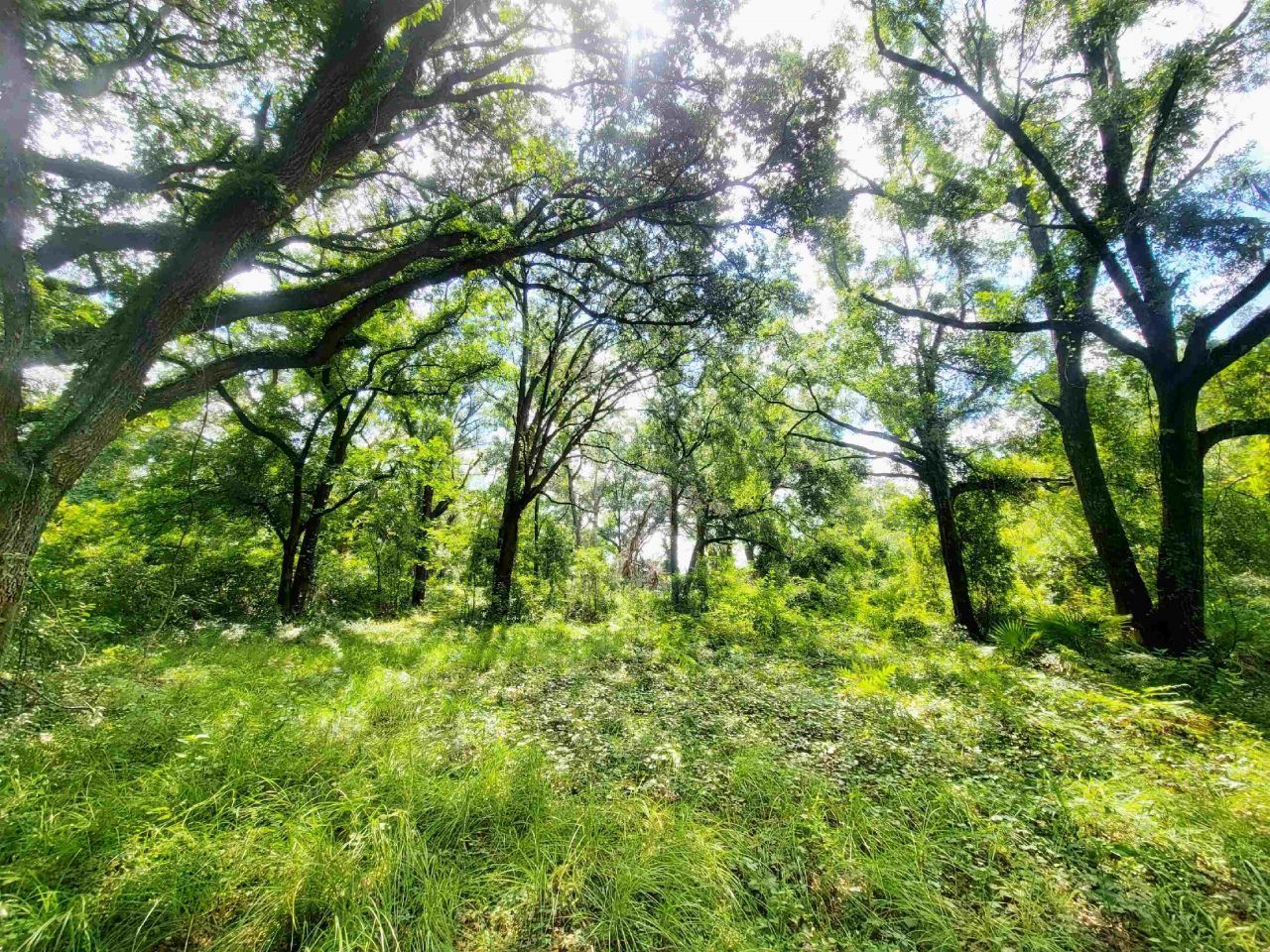 15710 184th Street, Other Florida, FL 32071 Photo