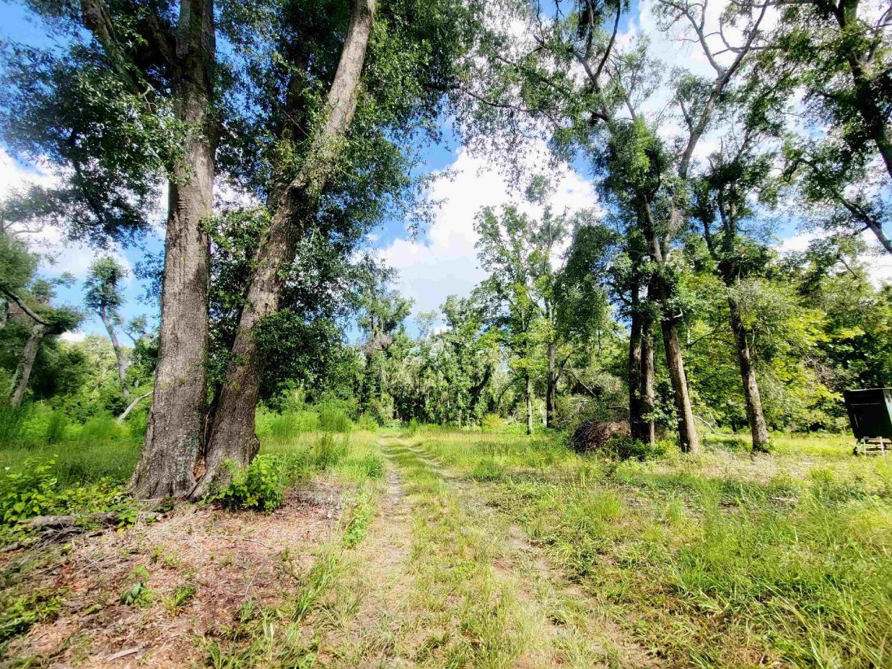 15710 184th Street, Other Florida, FL 32071 Photo