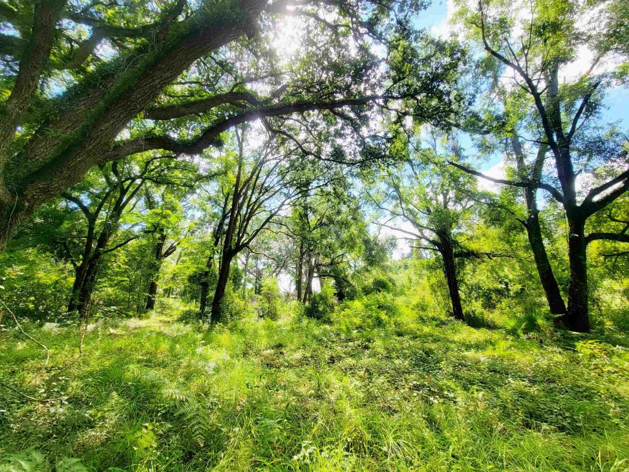 15710 184th Street, Other Florida, FL 32071 Photo