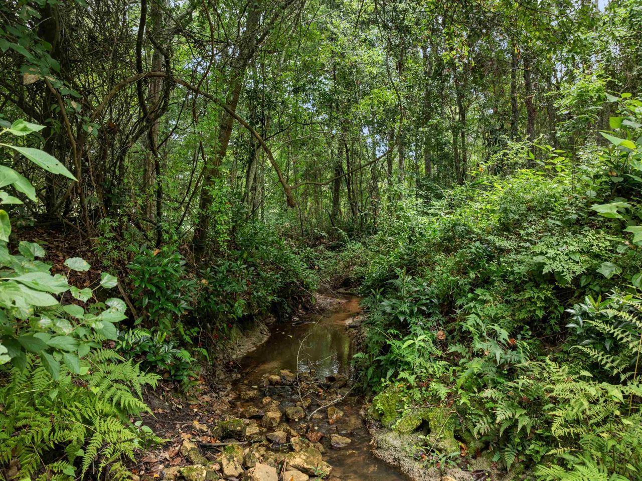 825 Rainey Run, Monticello, FL 32344 Photo