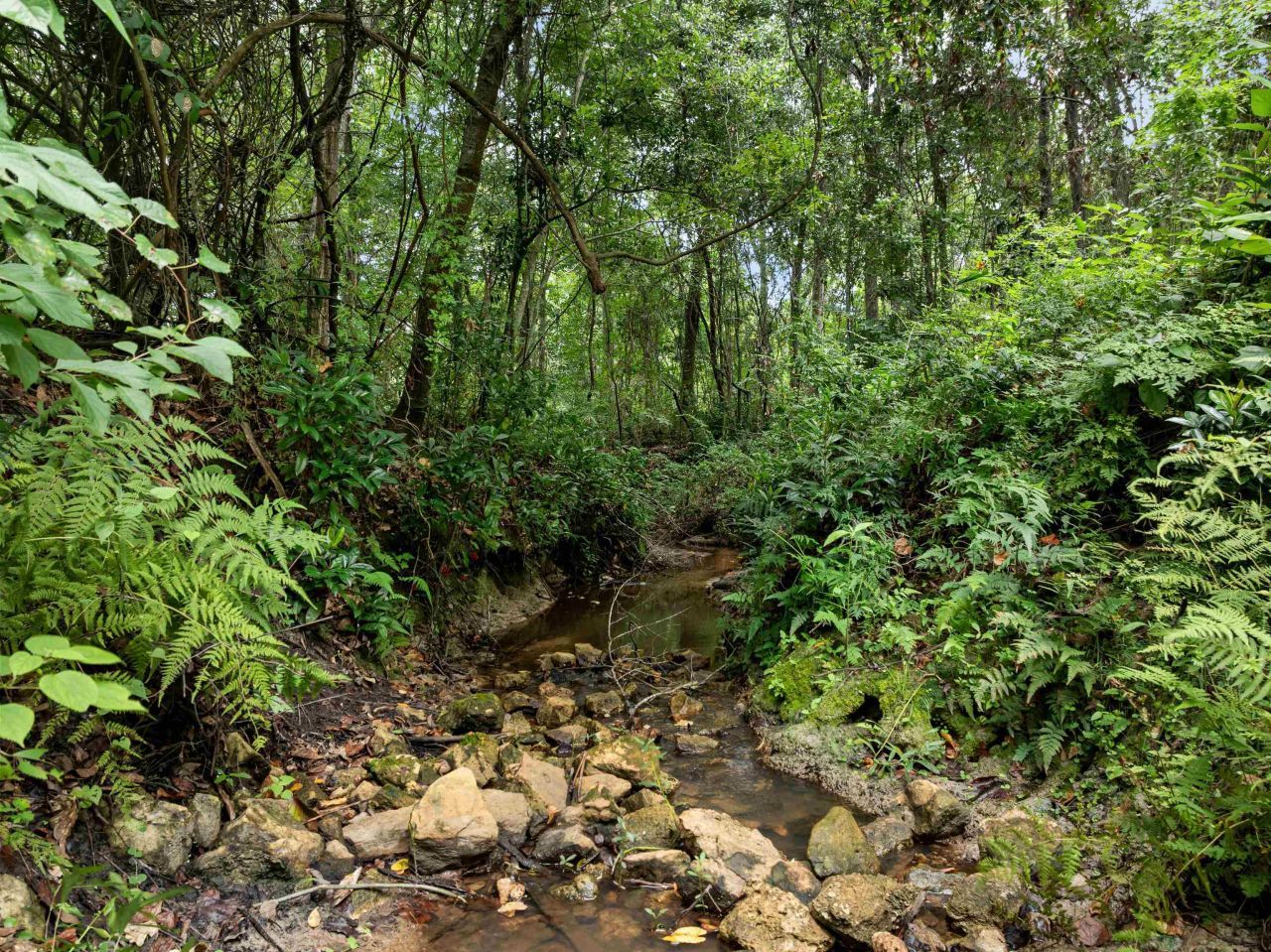 825 Rainey Run, Monticello, FL 32344 Photo