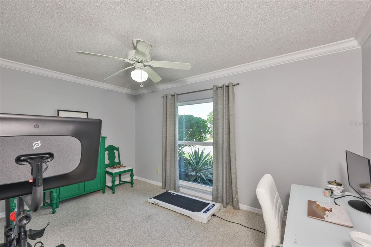 13562 Lake Magdalene Drive, Tampa, FL 33613 Photo