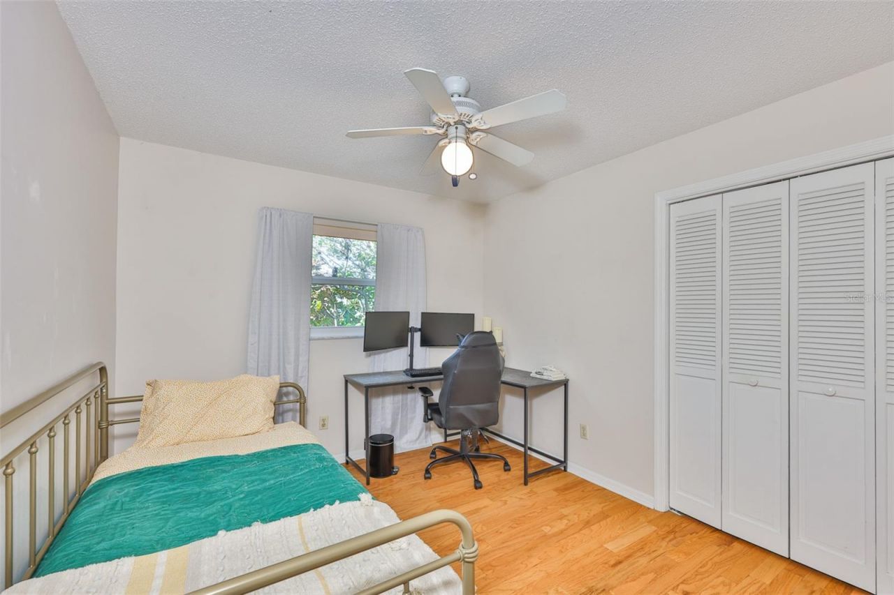 13562 Lake Magdalene Drive, Tampa, FL 33613 Photo