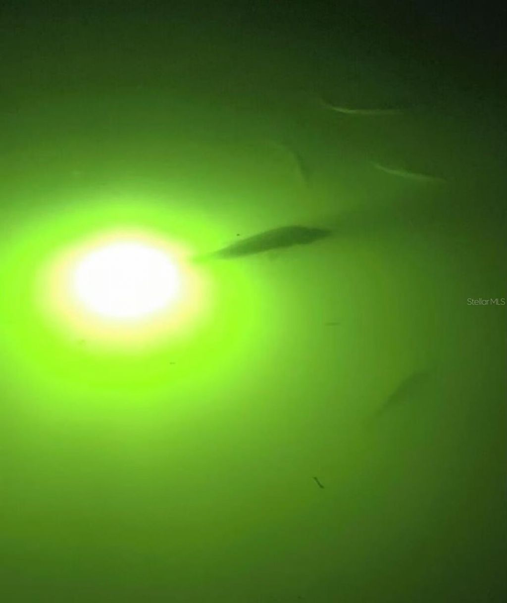 131 Casa Lane, Punta Gorda, FL 33950 Photo