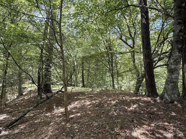 7735a Old Tunica Rd, St Francisville, LA 70775