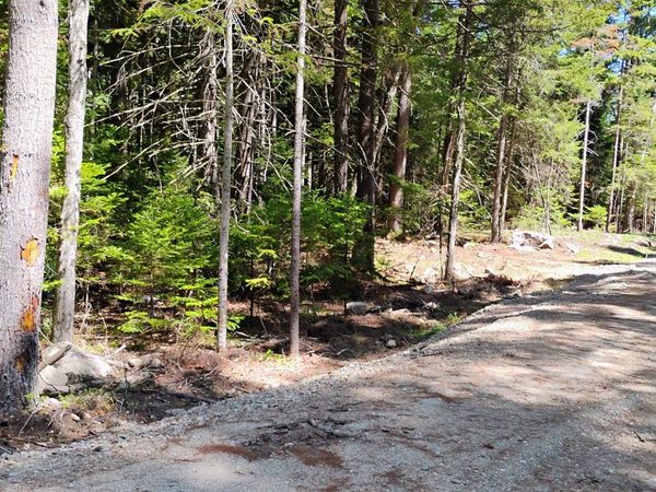 Lot 2 NH Route 4A, Grafton, NH 03240