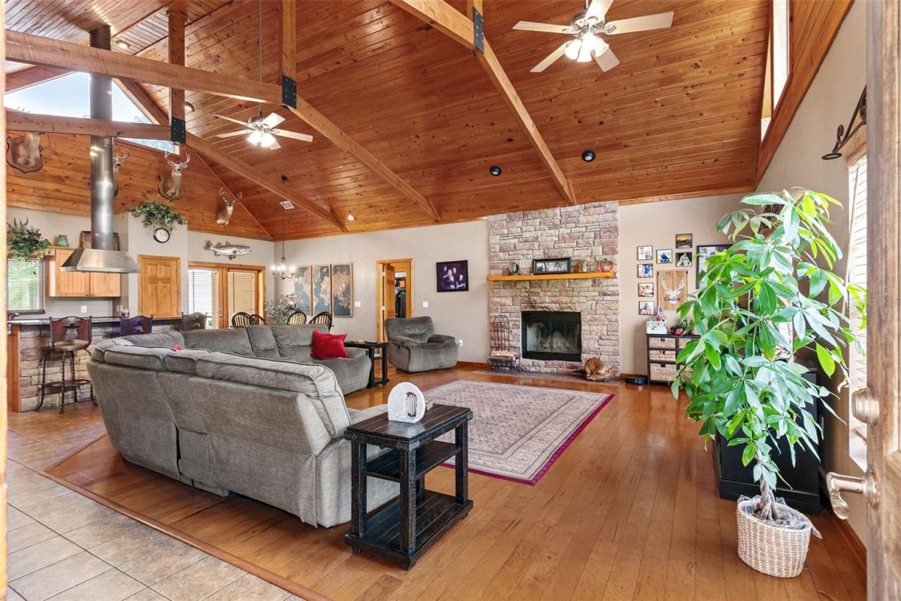 12136 Mcintosh Road, Thonotosassa, FL 33592 Photo