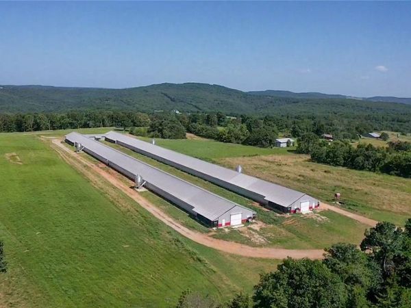 4468 Madison 3050 Road, Huntsville, AR 72740