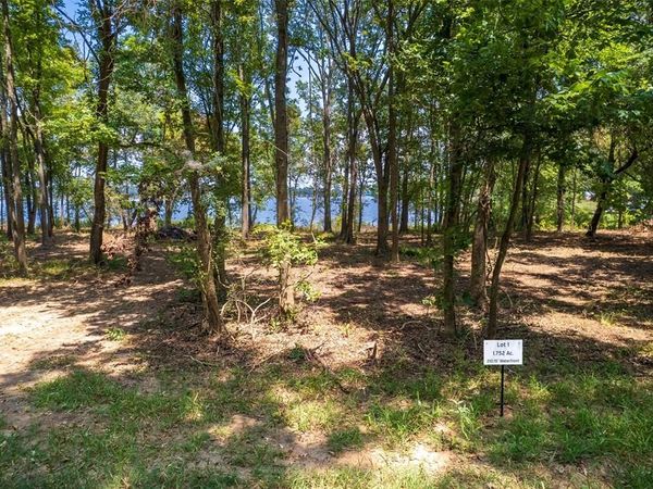 TBD PR 52447, Leesburg, TX 75451