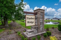 251 Red Maple Loop photo 4