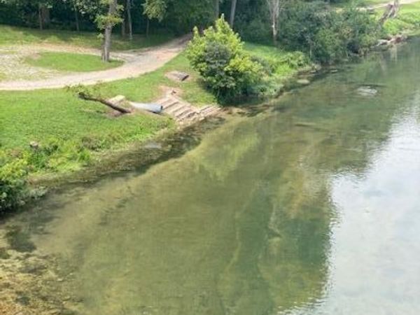 TBD County Road 355, Dora, MO 65637