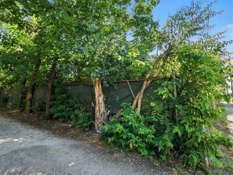 6117 Vine Street, Cincinnati, OH 45216 Photo 46