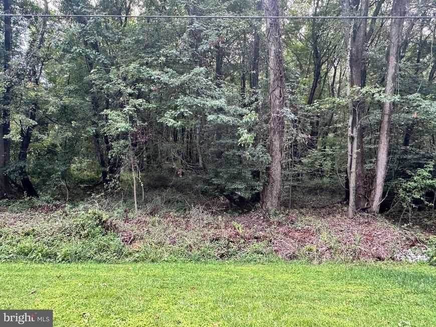 Buck Neck Landing Road, Chestertown, MD 21620 Main Photo