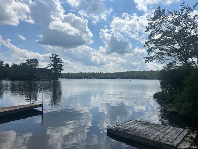 94 Park Drive, Parksville, NY 12768 Main Photo