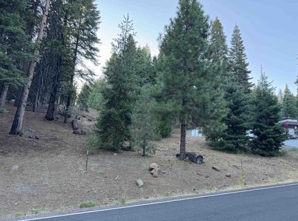 810 Timber Ridge Road, Lake Almanor, CA 96137 Photo