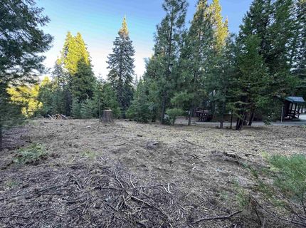 810 Timber Ridge Road, Lake Almanor, CA 96137 Photo