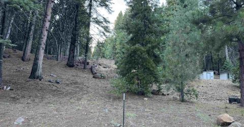 810 Timber Ridge Road, Lake Almanor, CA 96137 Photo