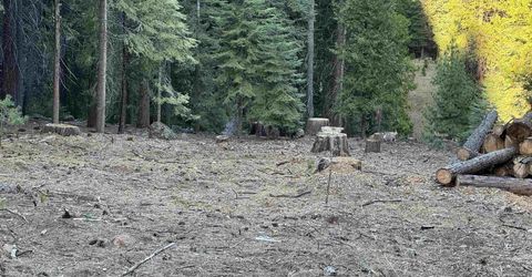 810 Timber Ridge Road, Lake Almanor, CA 96137 Photo